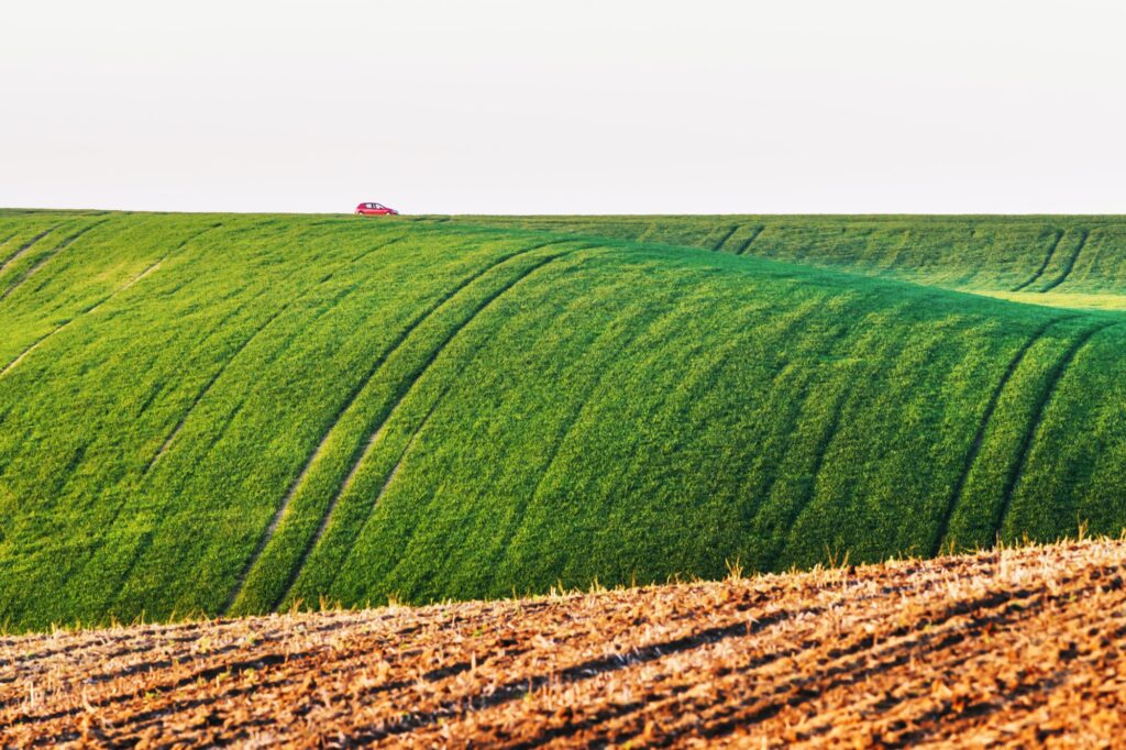 Moravian agricultural fields