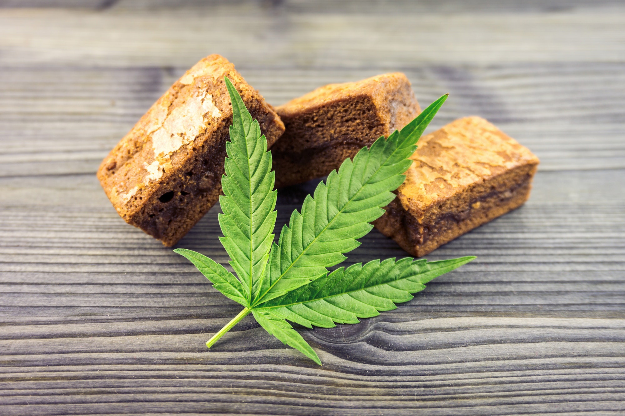 Cannabis Weed hash Brownies
