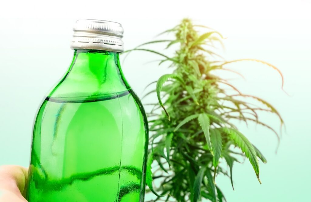 Bottle with CBD cannabis infused drink against cannabis plant, cannabis in food and drink industry