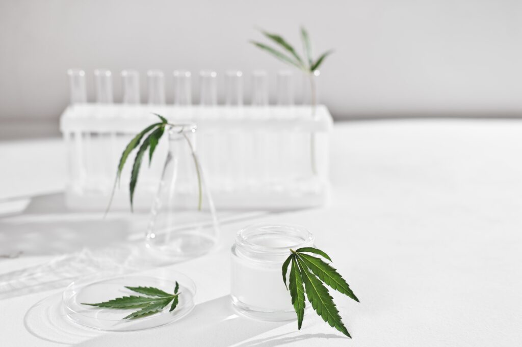 cannabis face cream and hemp leaves in laboratory . petri dishes and test-tubes on lab table