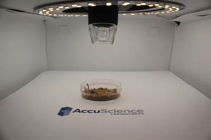 AccuScience Labs testing