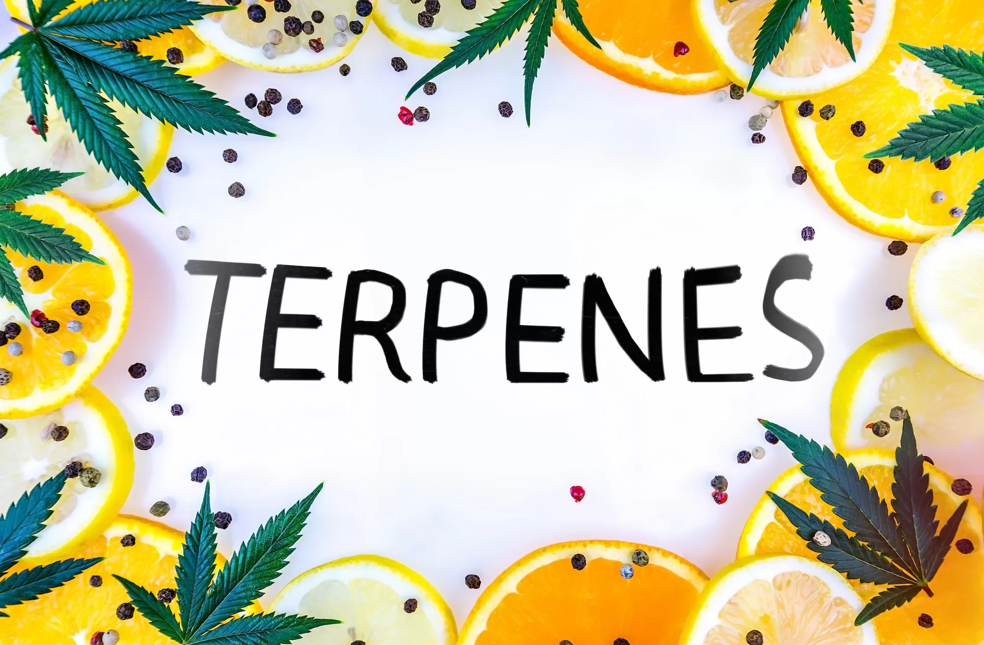 Cannabis Terpene concept with leafs lemons orange and peppercorns on white background